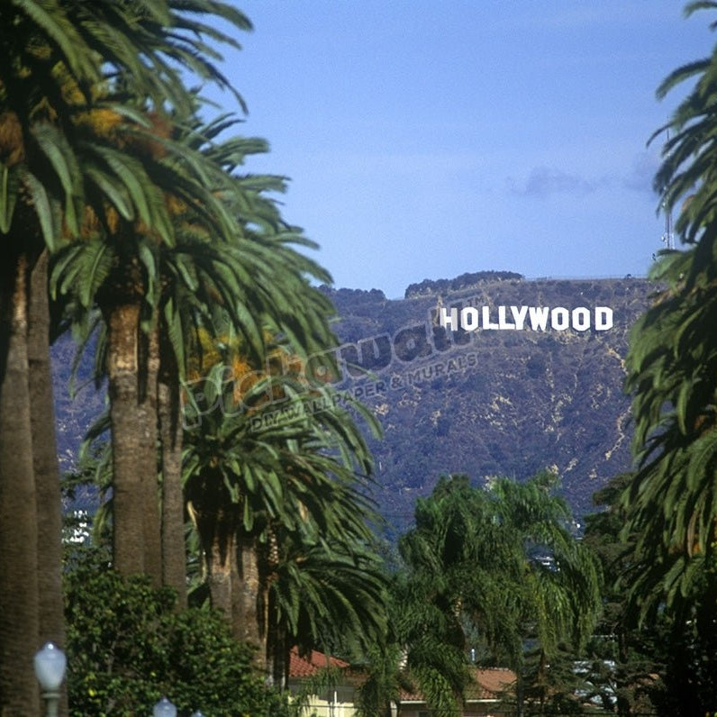 PALM TREES HOLLYWOOD SIGN WINDSOR BOULEVARD HOLLYWOOD LOS ANGELES CALIFORNIA USA - Pickawall