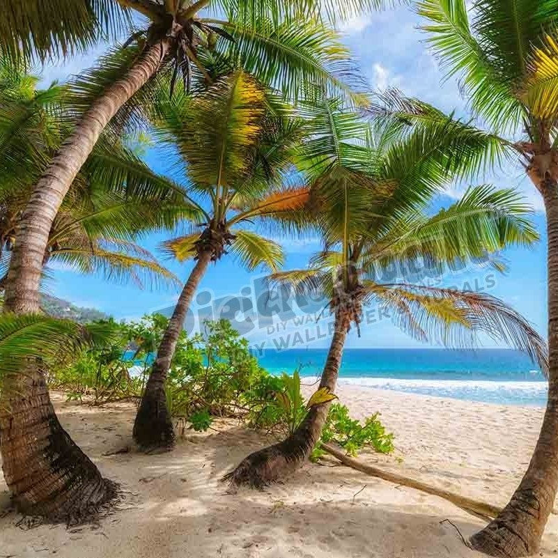 Palm trees on a tropical beach - Pickawall