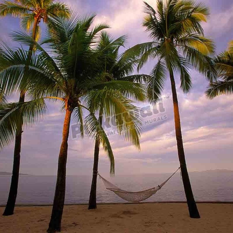 Palm trees with hammock on beach, Fiji, Pacific Ocean - Pickawall