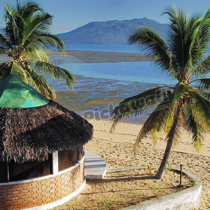 Panoramic view of a cottage at the beach - Pickawall