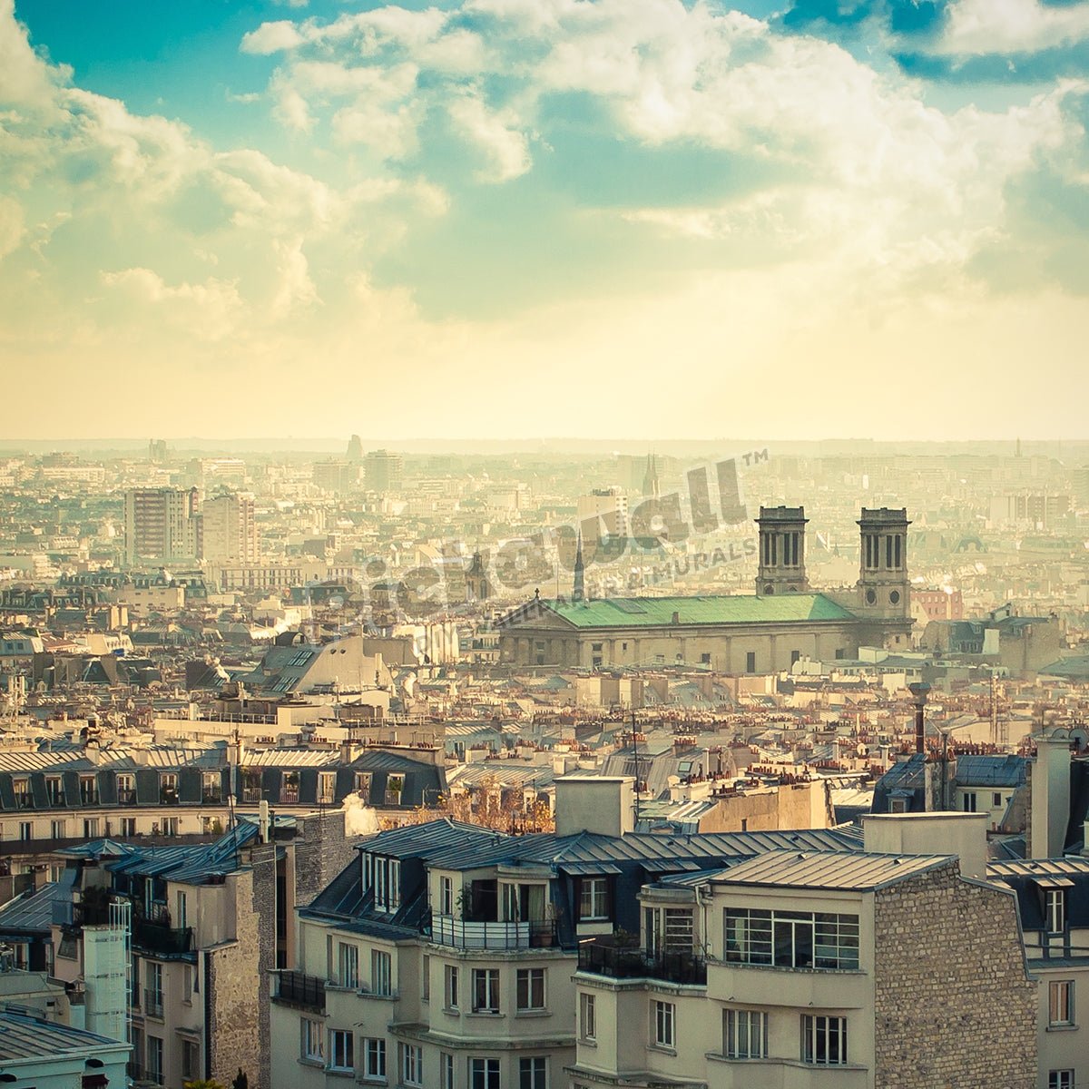 Paris Roof Top - Pickawall