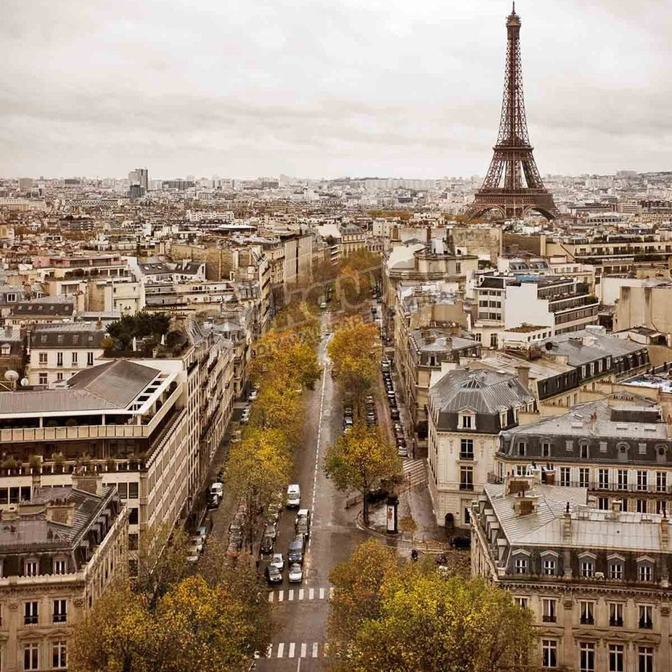 Paris skyline with Eiffel Tower. - Pickawall
