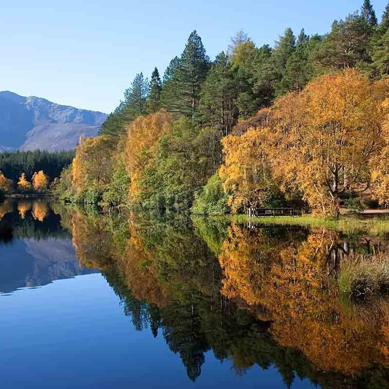 Peaceful autumn reflections on the Lochan Trail - Pickawall