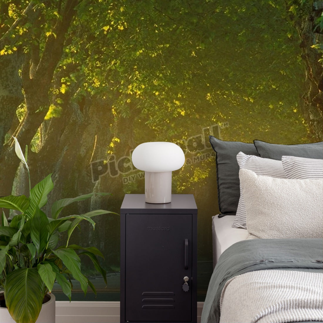 avenue of trees nr St Remy Provence France wallpaper in a bedroom - Pickawall
