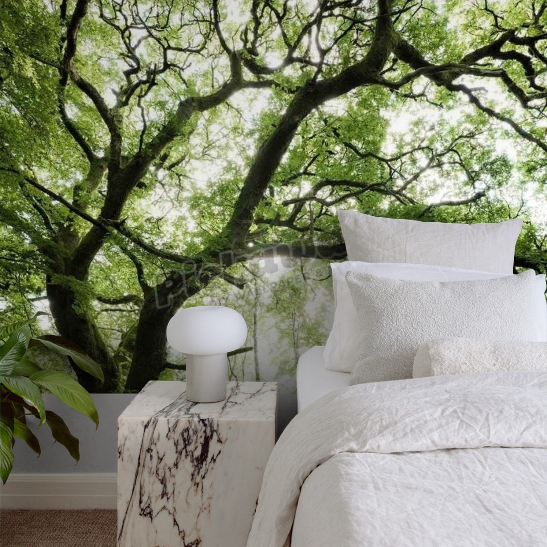 Mystical Forest, Scotland, Europe wallpaper in a bedroom - Pickawall