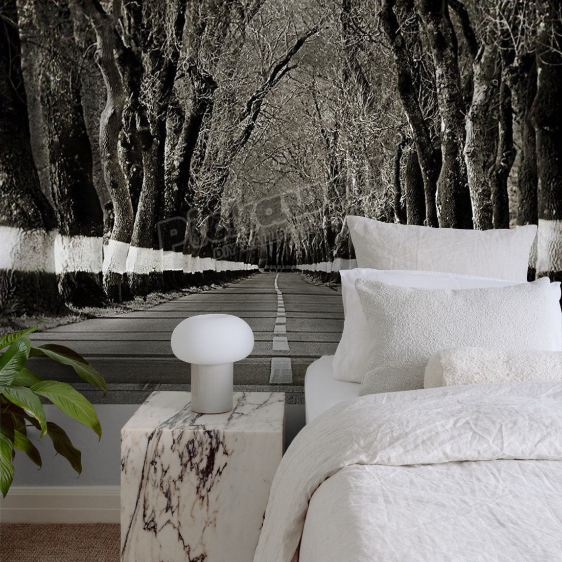Tunnel of trees in road wallpaper in a bedroom - Pickawall