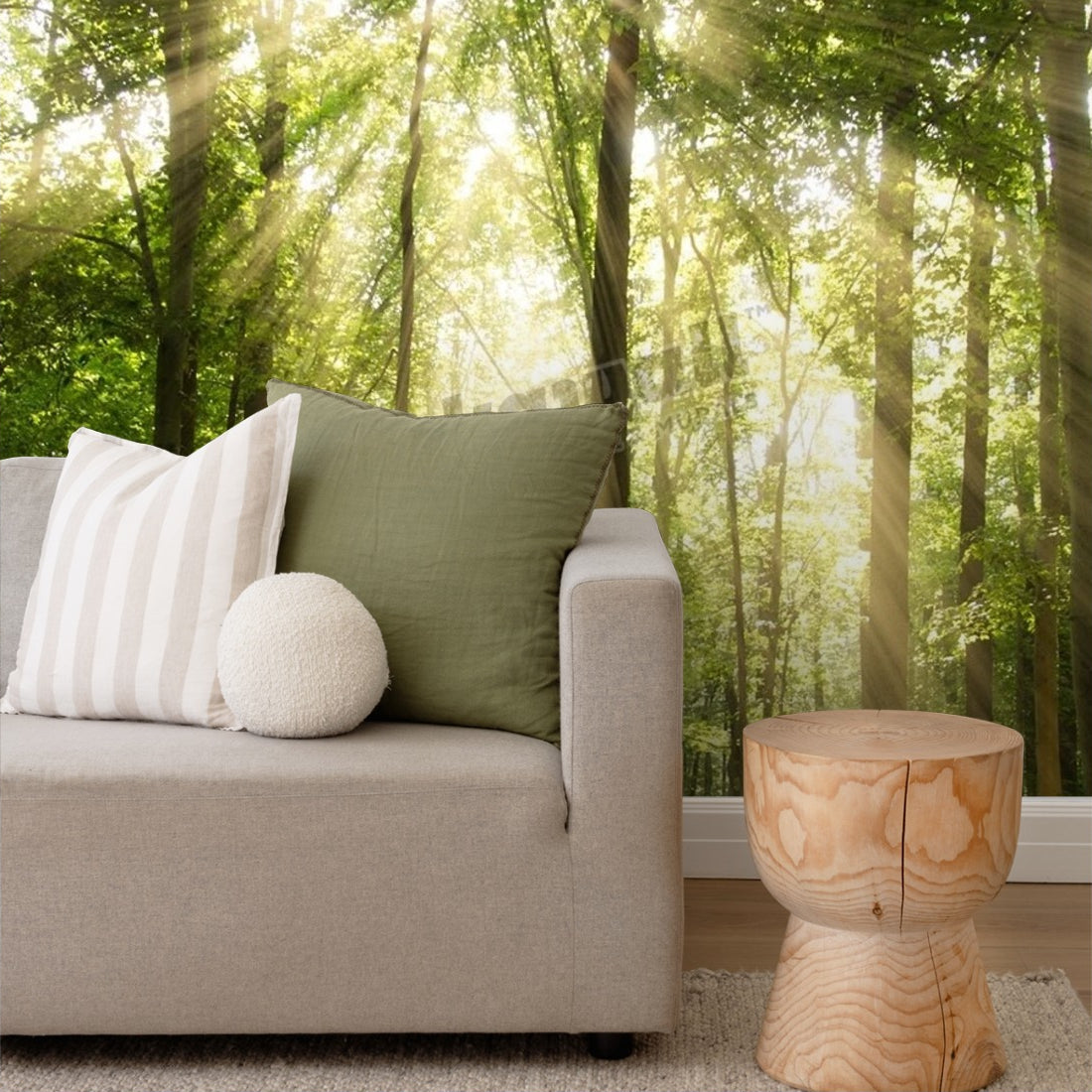 Sunrays Through Treetops wallpaper in a living room - Pickawall