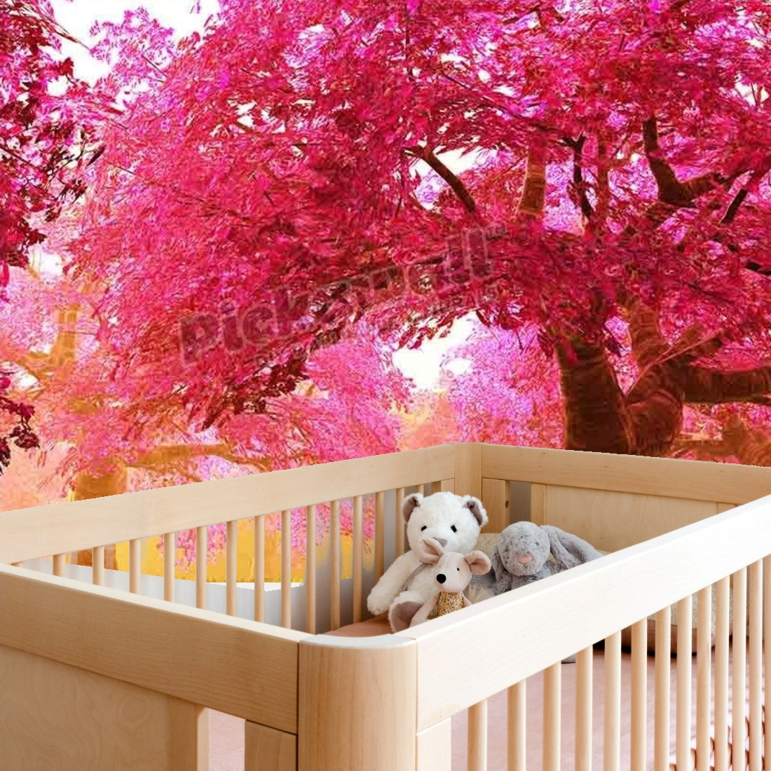 Kids girls - Cherry Blossoms wallpaper in a nursery - Pickawall