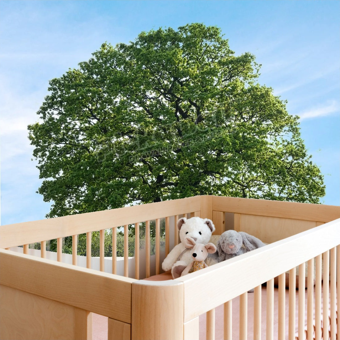 Oak tree - wall and ceiling feature wallpaper in a nursery - Pickawall