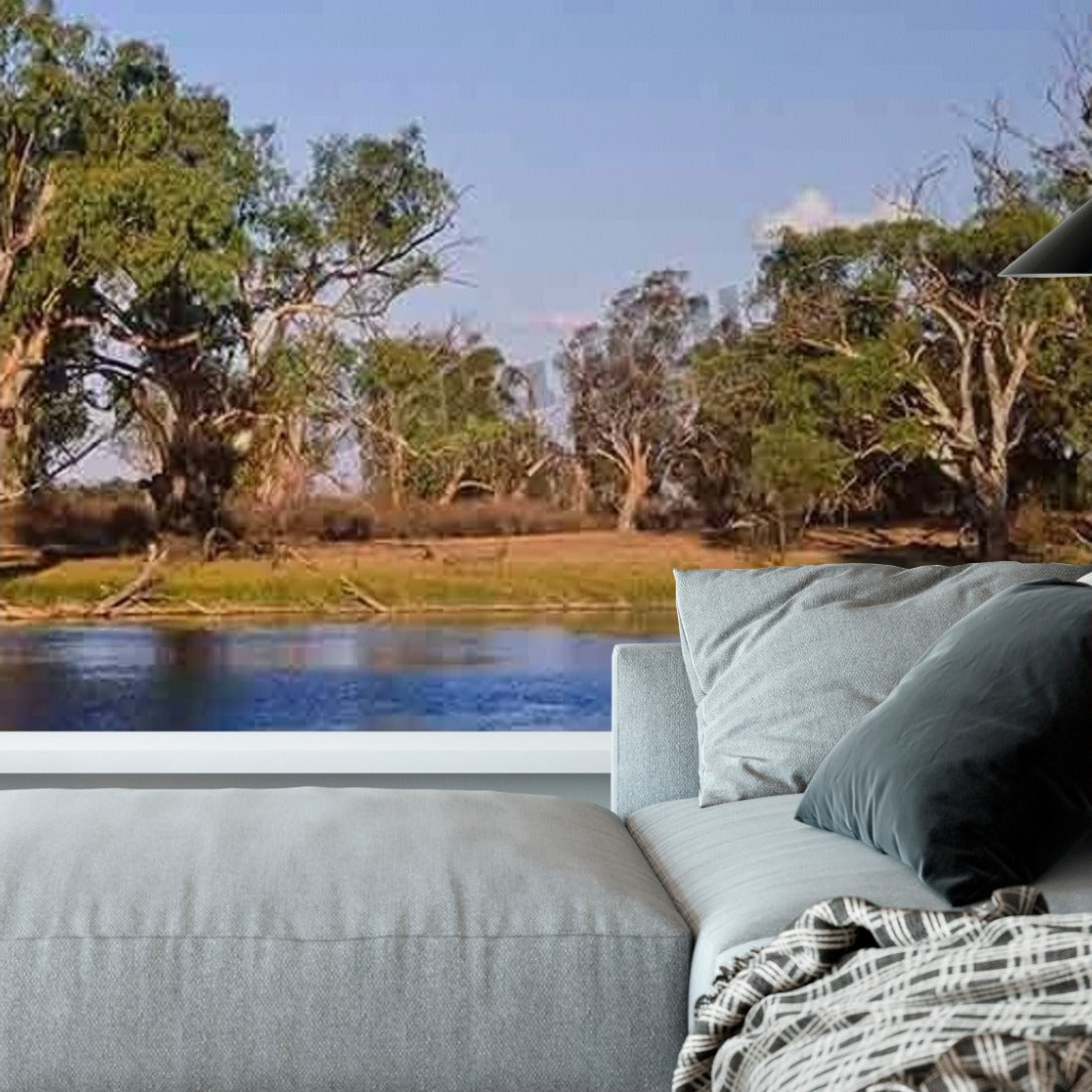 River Red Gums, Murray River, South Australia wallpaper in a living room - Pickawall