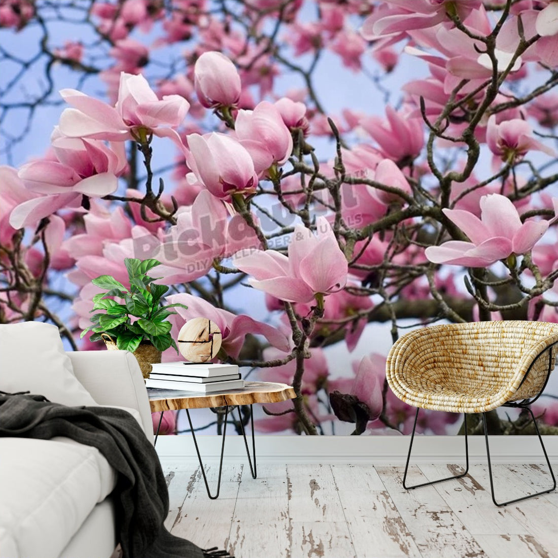 Magnolia campbellii wallpaper in a living room - Pickawall