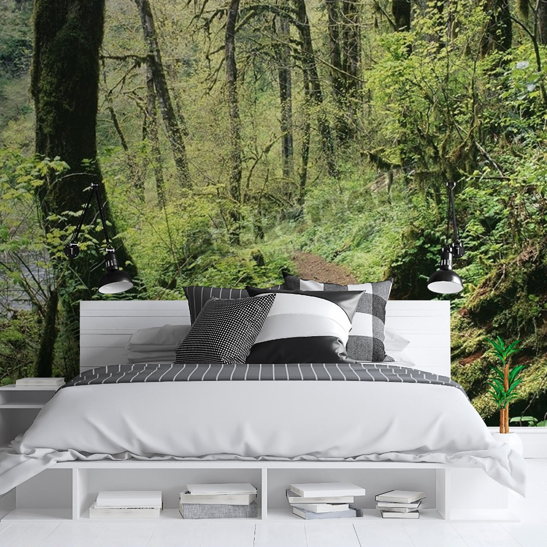 Rain forest trail' wallpaper in a bedroom - Pickawall