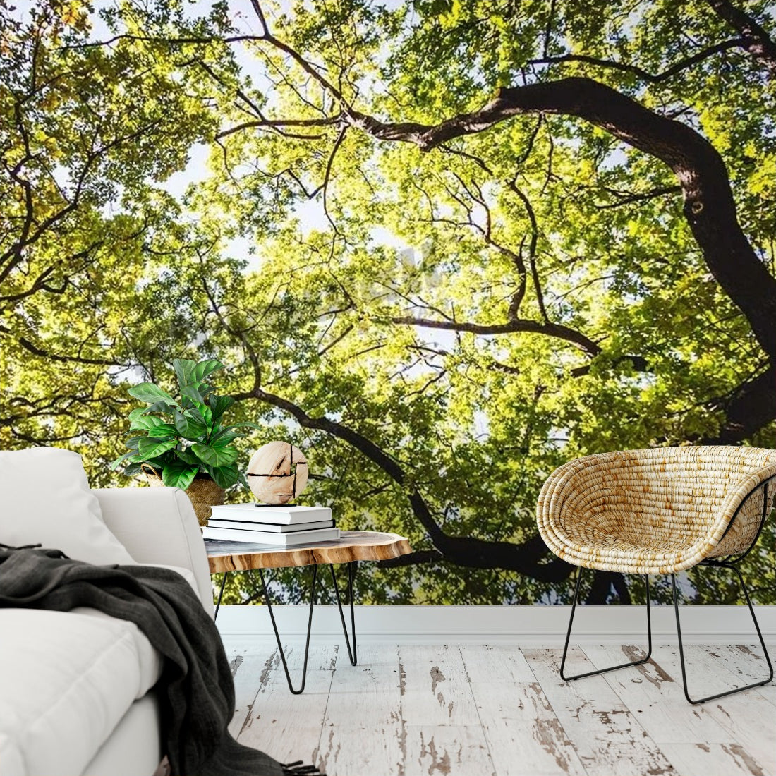 Leaf Canopy wallpaper in a living room - Pickawall