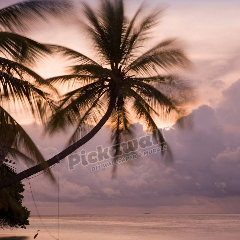 Rope swing at dusk - Pickawall