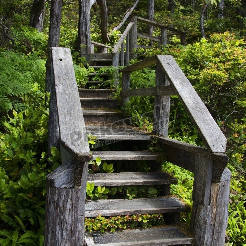 Rugged trail staircase - Pickawall