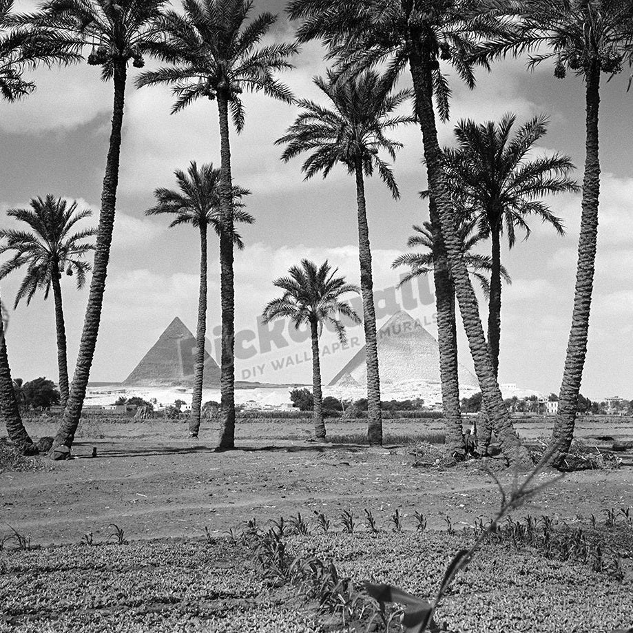 Scenic view of Great Pyramids at Giza - Pickawall