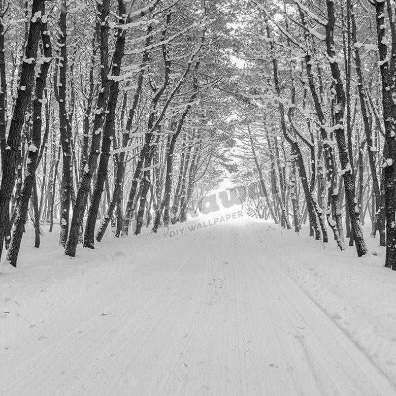 Snow Covered Road - Pickawall