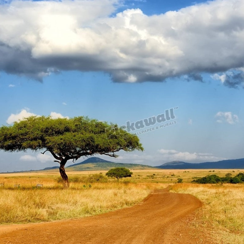 South African Tree landscape - Pickawall