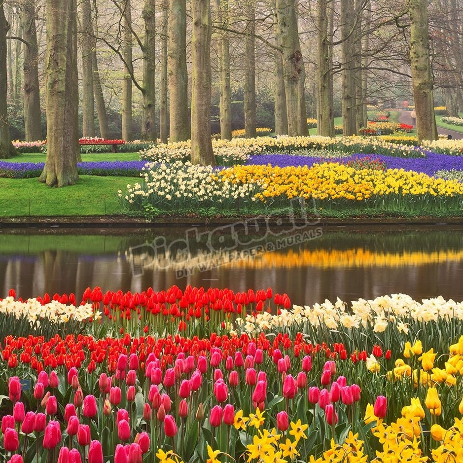 Spring Tulips and Flowers, Keukenhof Gardens, Netherlands - Pickawall