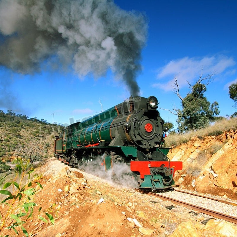 Steam train - Pickawall