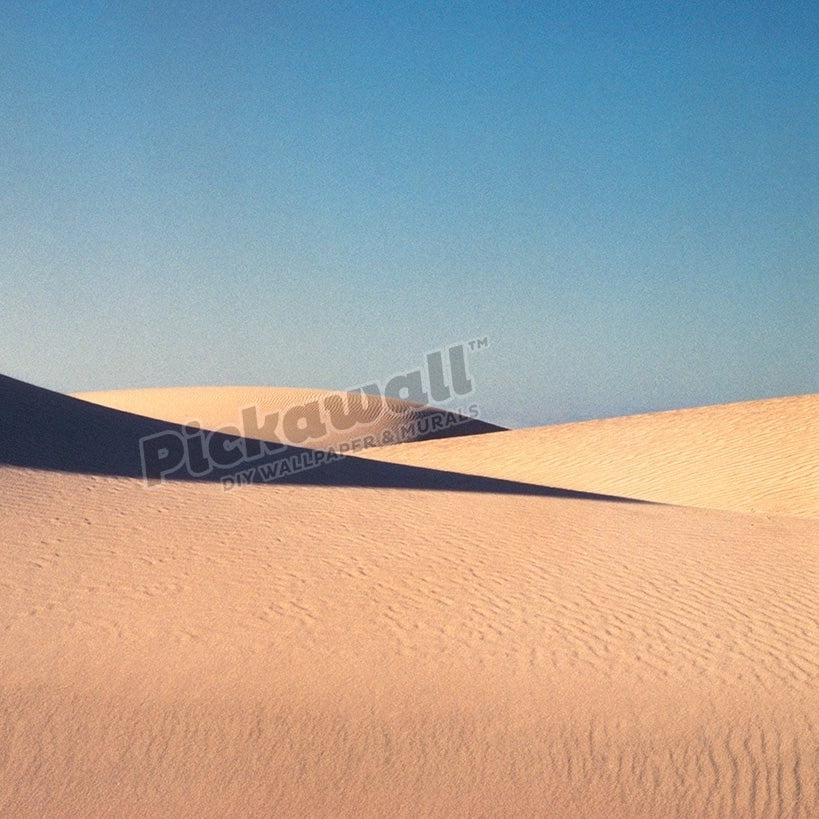 Stockton Bight sand dunes - Pickawall