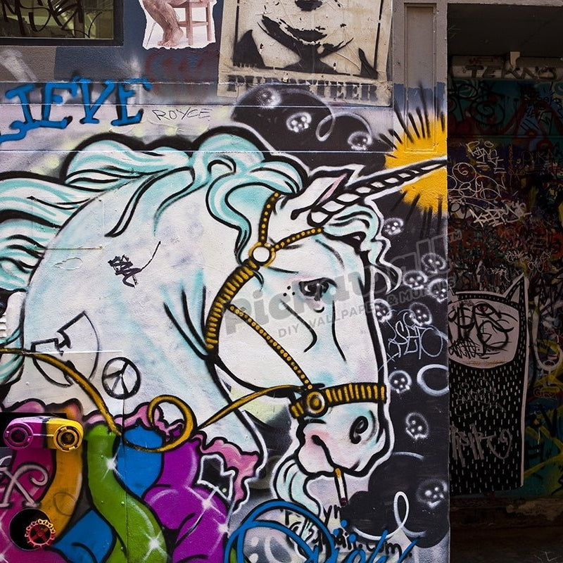 Street art graffiti in Hosier Lane. - Pickawall
