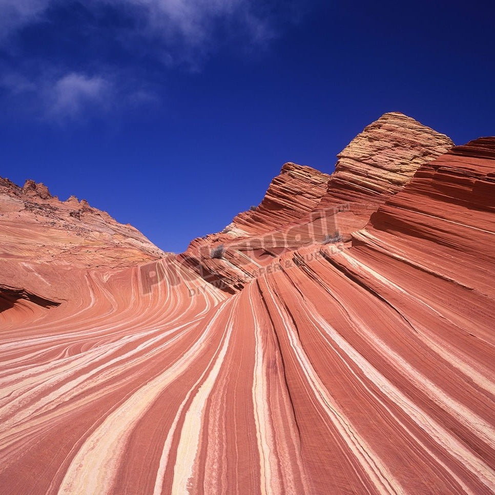 Striped sandstone landscape of Paria canyon - Pickawall