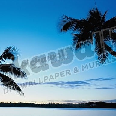 Sun sets behind two palm trees, Fiji - Pickawall
