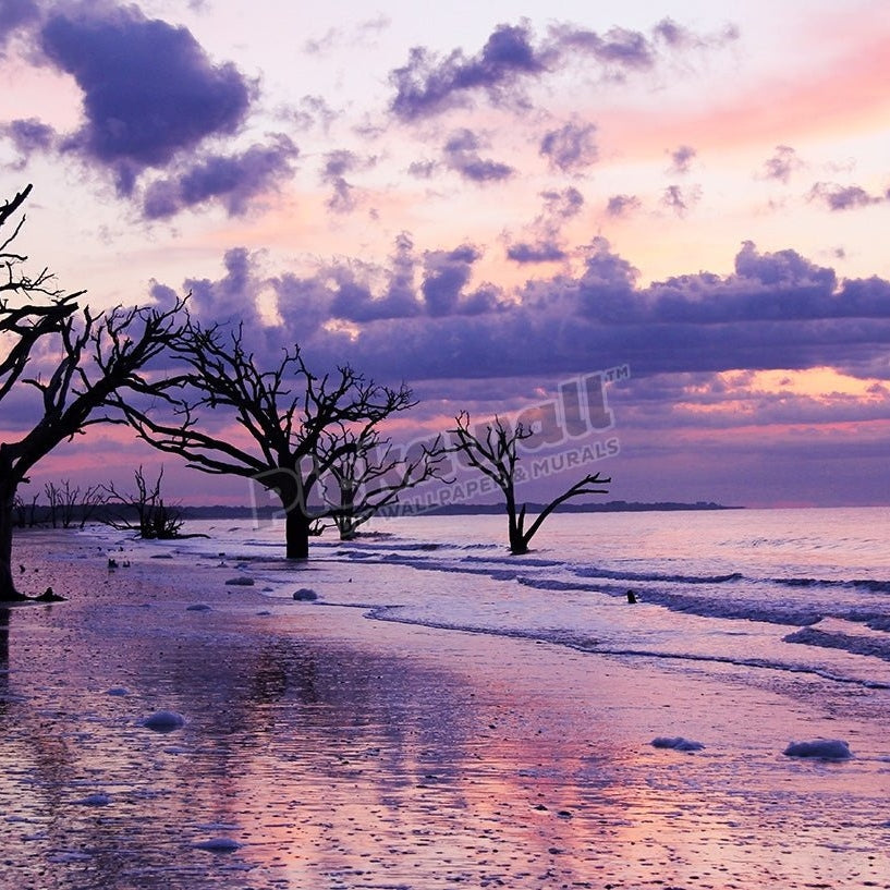 Sunrise at wild beach - Pickawall
