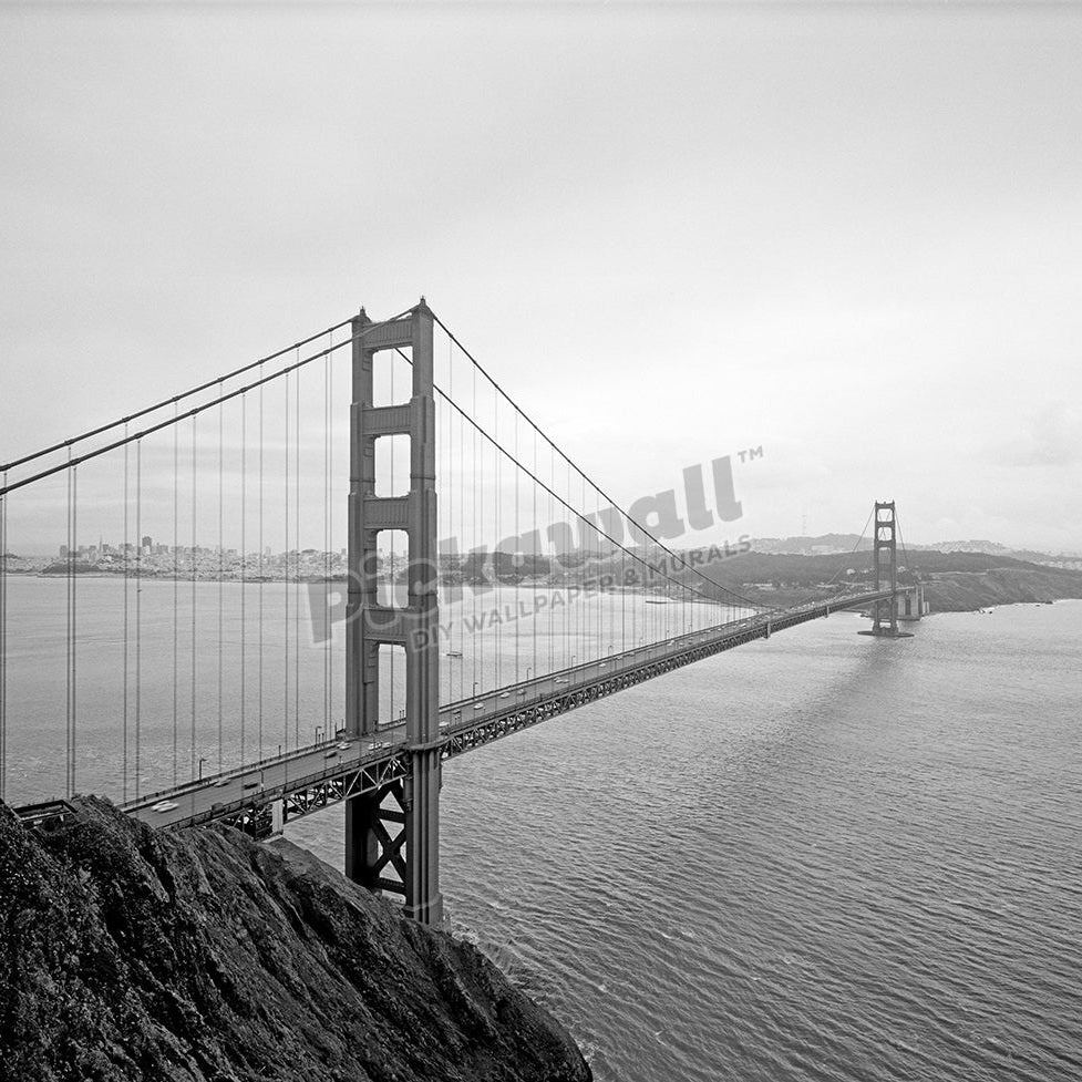 Suspension bridge - Pickawall