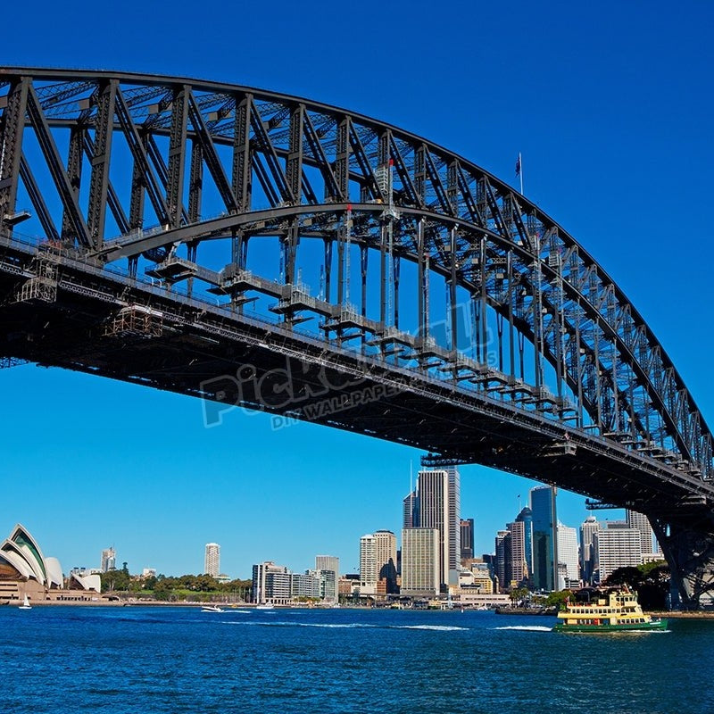 Sydney Harbour Bridge, Opera House and Ferry - Pickawall