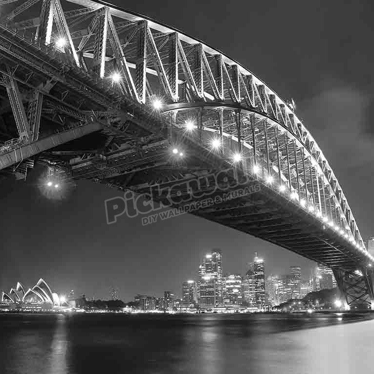 Sydney Skyline and Harbor Bridge at night - Pickawall