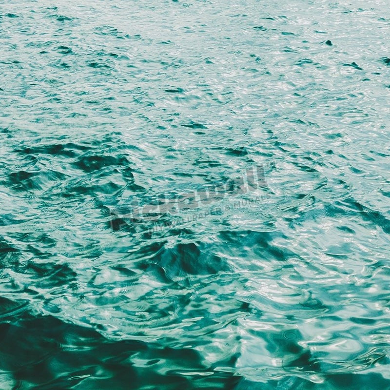 T R A N Q U I L - Pickawall