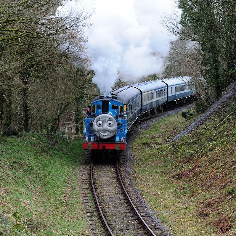 Thomas the Tank Engine - Pickawall