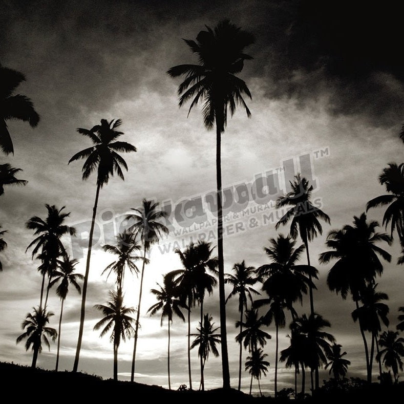 Tropical Vacation - Pickawall