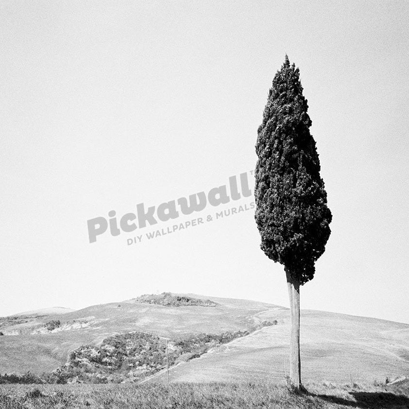 Tuscany Italy black & white - Pickawall