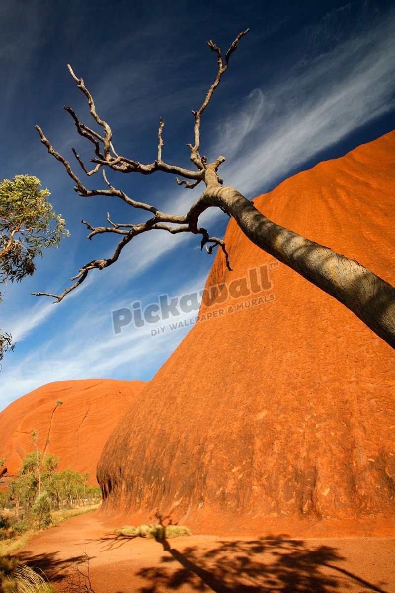 Uluru / Ayer's Rock - Pickawall