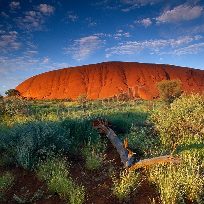Uluru Ayers Rock at dawn Kata Tjuta National Park Northern Territories Australia - Pickawall