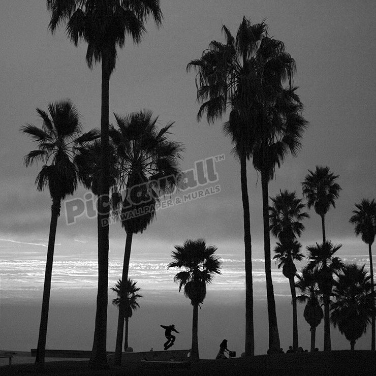 Venice Beach, Palm Trees, B&W - Pickawall