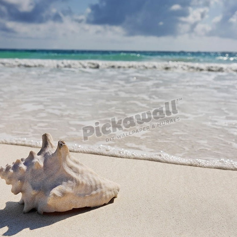 view of the beautiful white sand beach of tulum in yucatan mexico - Pickawall