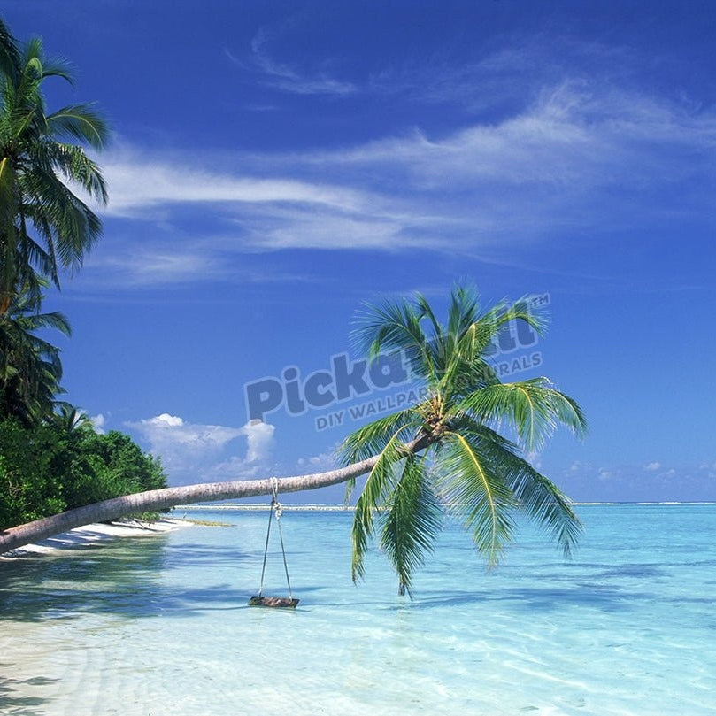 Water - Palm tree and sea - Pickawall