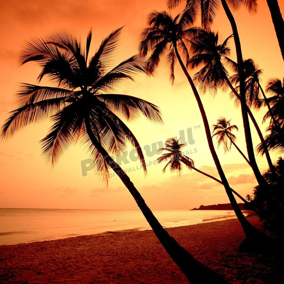 Water - Palm trees - Pickawall