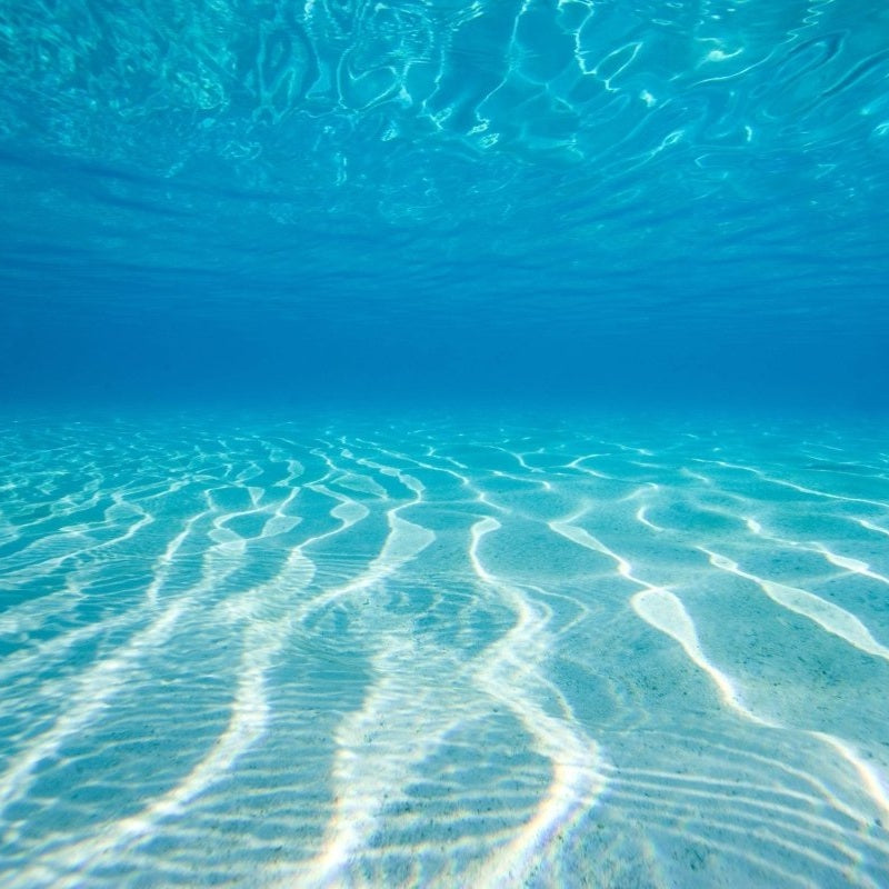 Water - Under the sea - Pickawall