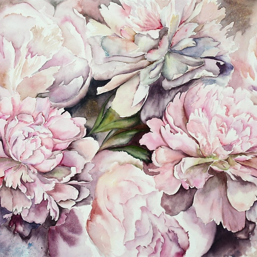Watercolour Pink Peonies - Pickawall