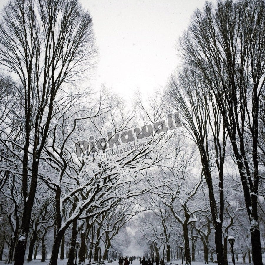 Winter in NYC - Pickawall