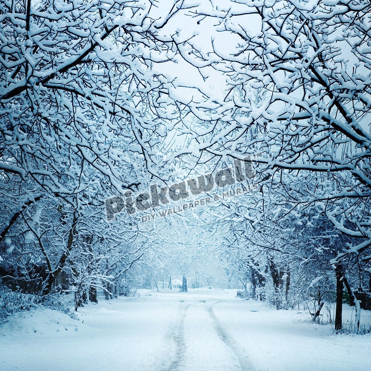 Winter landscape - Pickawall