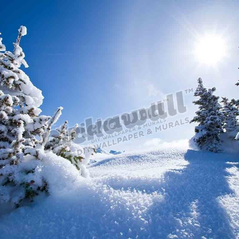 Winter Landscape, Alberta - Pickawall