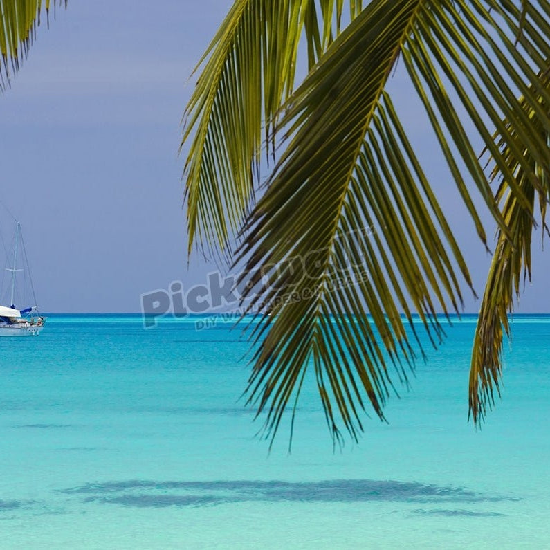 Yacht anchored in palm-fringed lagoon. - Pickawall