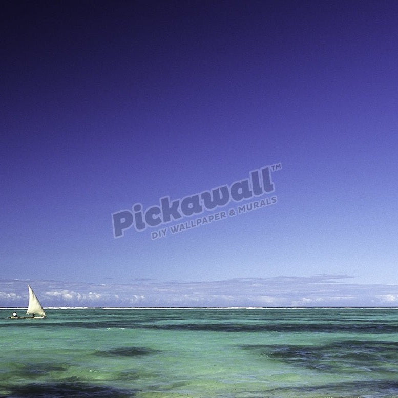 Zanzibar, Unguja Island, east coast. - Pickawall