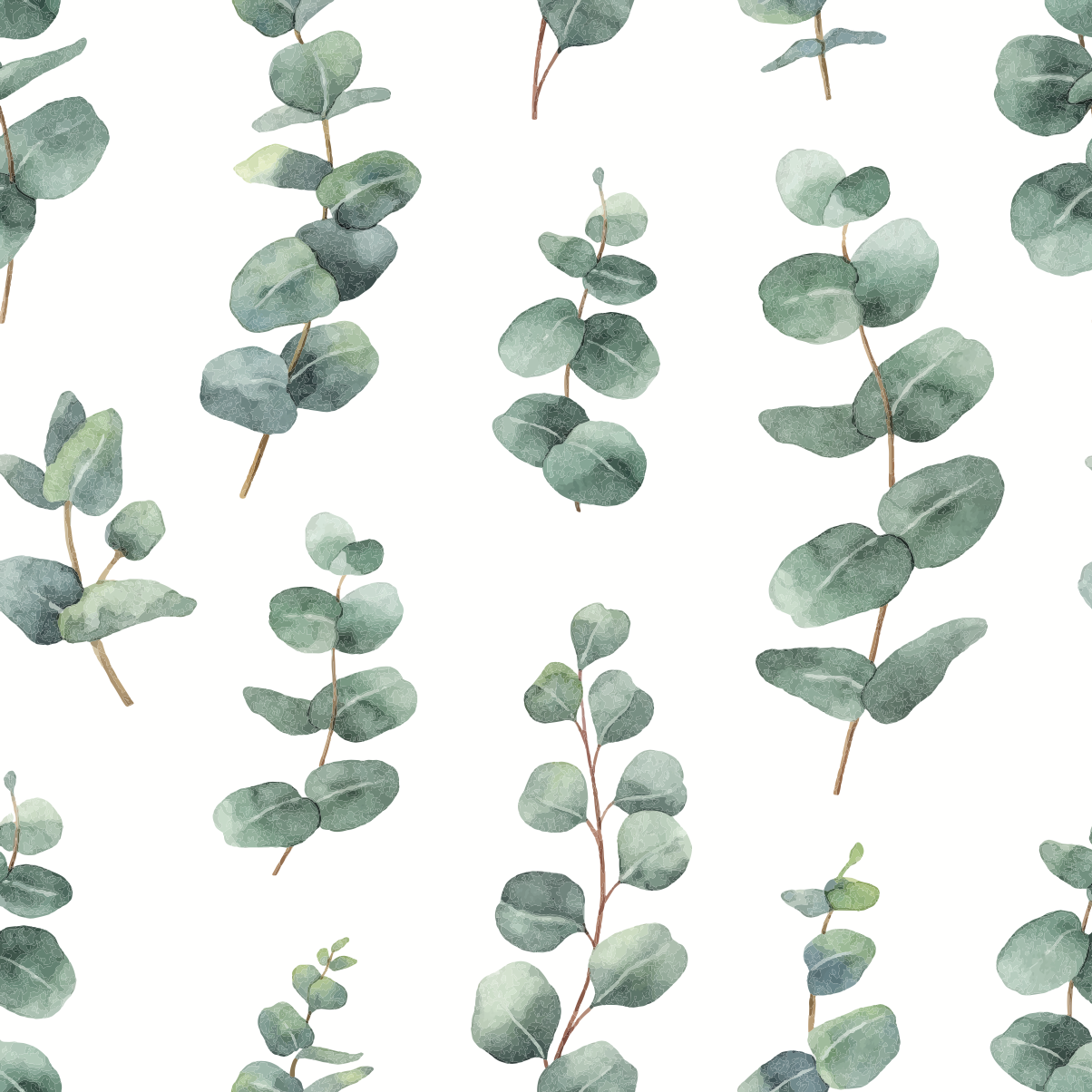 Watercolour silver dollar eucalyptus leaves - Pickawall